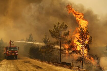 Apesar de 234 decisões legais sobre mudanças climáticas, os esforços do país para combater as mudanças climáticas permanecem ineficazes.