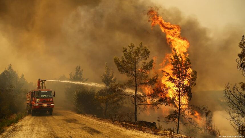 Apesar de 234 decisões legais sobre mudanças climáticas, os esforços do país para combater as mudanças climáticas permanecem ineficazes.