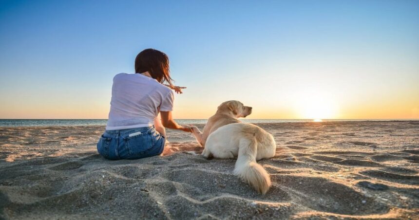 Relação de amor: cuidados que vão além das necessidades básicas