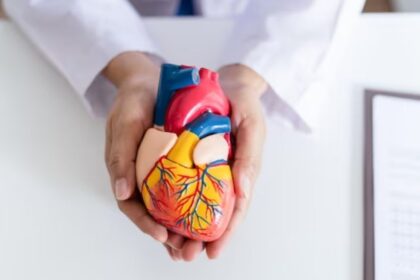 Novo avanço científico: cientistas criam mapa detalhado do coração humano