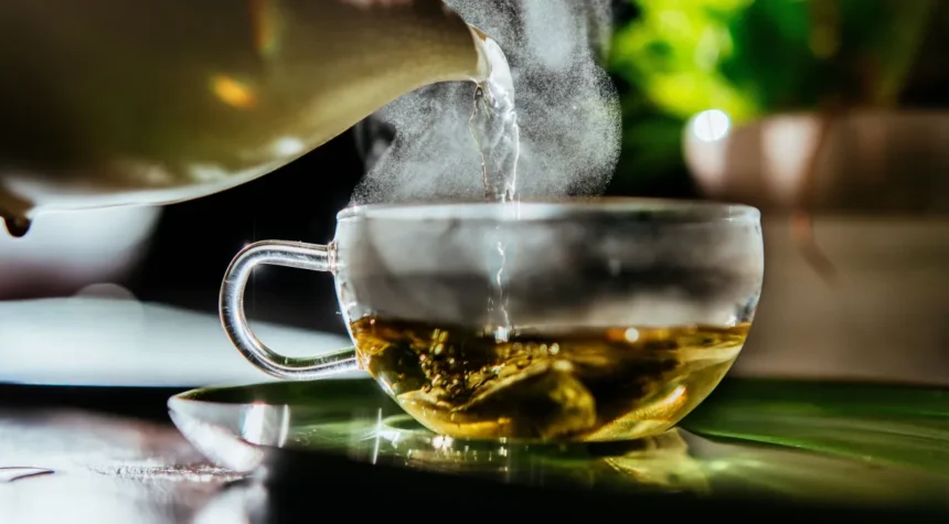 Chá verde melhora memória e concentração; estudo revela benefícios Estudos demonstram que o consumo do chá ativa a memória e aprimora a capacidade de aprendizado. Muitas pessoas consomem chá verde para perder peso ou cuidar da saúde do coração. No entanto, uma pesquisa conduzida na China revela que os benefícios do chá vão além, auxiliando na ativação da memória. De acordo com o estudo, os compostos químicos presentes na bebida estimulam a produção de células cerebrais que contribuem para a memória e o processo de aprendizagem. A pesquisa, realizada pela Universidade Médica Militar, concentrou-se na região do cérebro responsável pelo processamento de informações de curto prazo, convertendo-as em memória de longo prazo. O grupo de cientistas descobriu que uma substância chamada EGCG estimula a produção de células progenitoras neurais, capazes de se transformar em diferentes tipos de células, semelhantes às células-tronco. Para investigar os efeitos, os pesquisadores conduziram testes em dois grupos de ratos de laboratório: um grupo que recebeu chá verde e outro grupo controle. Os animais foram treinados por três dias para encontrar uma plataforma visível em um labirinto e, em seguida, por sete dias para encontrar uma plataforma oculta. Segundo os pesquisadores, os ratos que ingeriram o chá apresentaram um tempo menor para encontrar a plataforma oculta. Outro estudo realizado pela Universidade Federal de Pampa e publicado em 2019 obteve resultados semelhantes. As pesquisas nessa área podem contribuir para o entendimento das características e possíveis tratamentos para doenças como o Alzheimer.